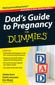 бесплатно читать книгу Dad's Guide to Pregnancy For Dummies автора Stefan Korn