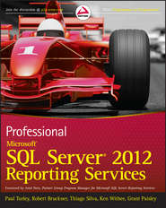 бесплатно читать книгу Professional Microsoft SQL Server 2012 Reporting Services автора Paul Turley