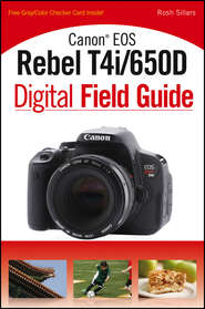 бесплатно читать книгу Canon EOS Rebel T4i/650D Digital Field Guide автора Rosh Sillars