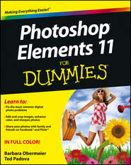 бесплатно читать книгу Photoshop Elements 11 For Dummies автора Barbara Obermeier