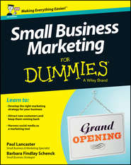 бесплатно читать книгу Small Business Marketing For Dummies автора Paul Lancaster