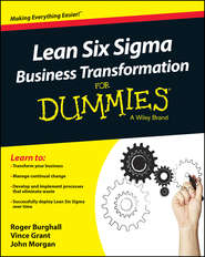 бесплатно читать книгу Lean Six Sigma Business Transformation For Dummies автора John Morgan