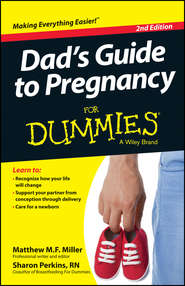 бесплатно читать книгу Dad's Guide To Pregnancy For Dummies автора Sharon Perkins