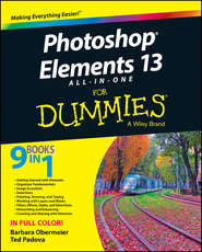 бесплатно читать книгу Photoshop Elements 13 All-in-One For Dummies автора Barbara Obermeier