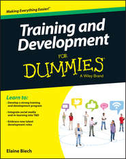 бесплатно читать книгу Training and Development For Dummies автора Elaine Biech