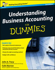 бесплатно читать книгу Understanding Business Accounting For Dummies автора Colin Barrow