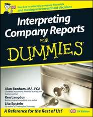 бесплатно читать книгу Interpreting Company Reports For Dummies автора Lita Epstein