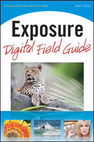 бесплатно читать книгу Exposure Digital Field Guide автора Alan Hess