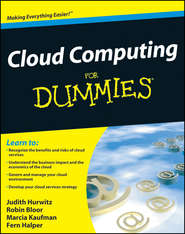 бесплатно читать книгу Cloud Computing For Dummies автора Robin Bloor