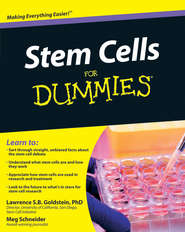 бесплатно читать книгу Stem Cells For Dummies автора Meg Schneider