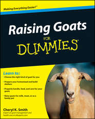 бесплатно читать книгу Raising Goats For Dummies автора Cheryl Smith