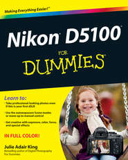 бесплатно читать книгу Nikon D5100 For Dummies автора Julie King