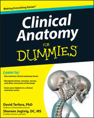 бесплатно читать книгу Clinical Anatomy For Dummies автора Shereen Jegtvig