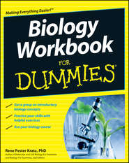 бесплатно читать книгу Biology Workbook For Dummies автора Rene Fester Kratz