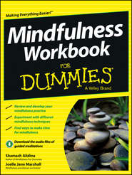 бесплатно читать книгу Mindfulness Workbook For Dummies автора Shamash Alidina
