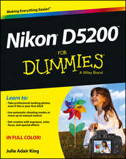 бесплатно читать книгу Nikon D5200 For Dummies автора Julie King