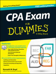 бесплатно читать книгу CPA Exam For Dummies автора Kenneth Boyd