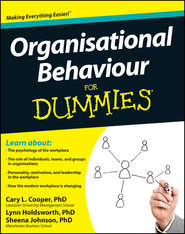 бесплатно читать книгу Organisational Behaviour For Dummies автора Sheena Johnson
