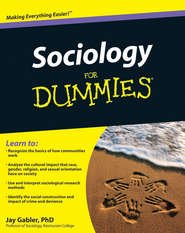 бесплатно читать книгу Sociology For Dummies автора Jay Gabler