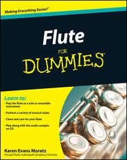 бесплатно читать книгу Flute For Dummies автора Karen Moratz