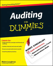бесплатно читать книгу Auditing For Dummies автора Maire Loughran