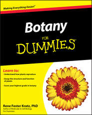 бесплатно читать книгу Botany For Dummies автора Rene Fester Kratz