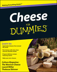 бесплатно читать книгу Cheese For Dummies автора Laurel Miller