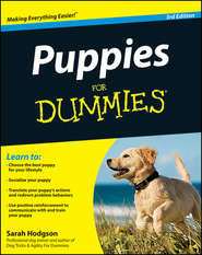 бесплатно читать книгу Puppies For Dummies автора Sarah Hodgson