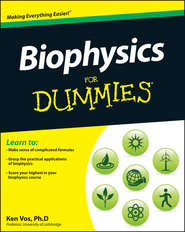 бесплатно читать книгу Biophysics For Dummies автора Ken Vos