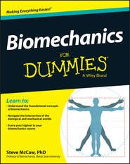 бесплатно читать книгу Biomechanics For Dummies автора Steve McCaw