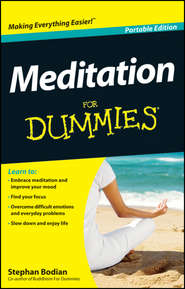 бесплатно читать книгу Meditation For Dummies автора Stephan Bodian