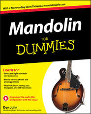 бесплатно читать книгу Mandolin For Dummies автора Don Julin