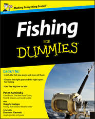 бесплатно читать книгу Fishing For Dummies автора Peter Kaminsky