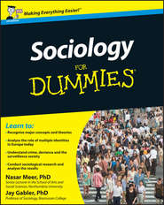бесплатно читать книгу Sociology For Dummies автора Jay Gabler