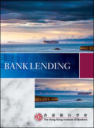 бесплатно читать книгу Bank Lending автора 