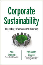 бесплатно читать книгу Corporate Sustainability. Integrating Performance and Reporting автора Zabihollah Rezaee