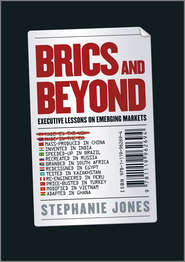 бесплатно читать книгу BRICs and Beyond. Lessons on Emerging Markets автора Stephanie Jones