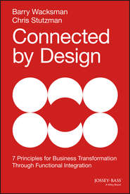бесплатно читать книгу Connected by Design. Seven Principles for Business Transformation Through Functional Integration автора Barry Wacksman