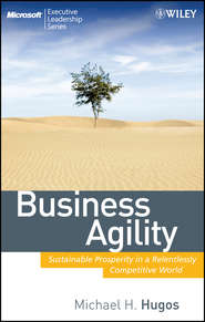 бесплатно читать книгу Business Agility. Sustainable Prosperity in a Relentlessly Competitive World автора Michael Hugos