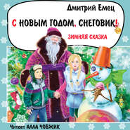 бесплатно читать книгу С Новым годом, снеговик! автора Дмитрий Емец