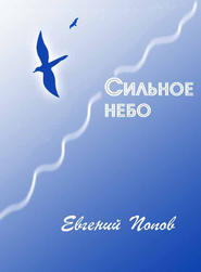 бесплатно читать книгу Сильное небо автора Евгений Попов