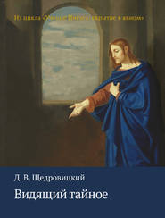 бесплатно читать книгу Видящий тайное автора Дмитрий Щедровицкий