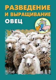 бесплатно читать книгу Разведение и выращивание овец автора Александр Ханников