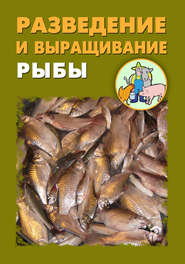бесплатно читать книгу Разведение и выращивание рыбы автора Александр Ханников