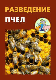 бесплатно читать книгу Разведение пчел автора Александр Ханников