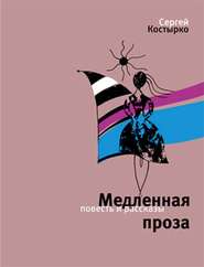 бесплатно читать книгу Медленная проза (сборник) автора Сергей Костырко