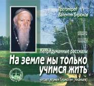 бесплатно читать книгу На земле мы только учимся жить автора Протоиерей Протоиерей Валентин Бирюков