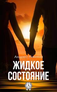бесплатно читать книгу Жидкое состояние автора Андрей Никитин