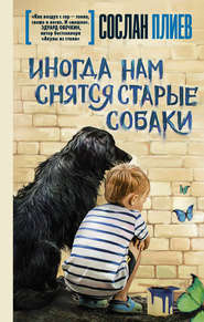 бесплатно читать книгу Иногда нам снятся старые собаки (сборник) автора Сослан Плиев