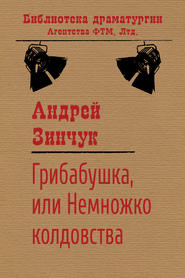 бесплатно читать книгу Грибабушка, или Немножко колдовства автора Андрей Зинчук